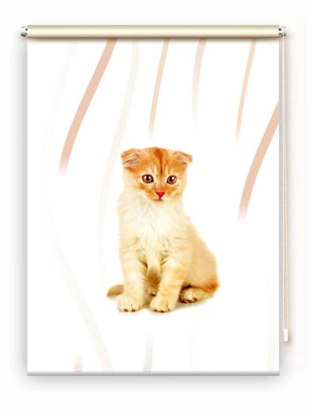 Rollo Tiger Katzenbaby vertic, Rollo, Motivrollo, Rollo mit Druck, Fotorollo, bedrucktes Rollo, Fensterrollo,verdunkelndes Rollo, Sonnenschutz